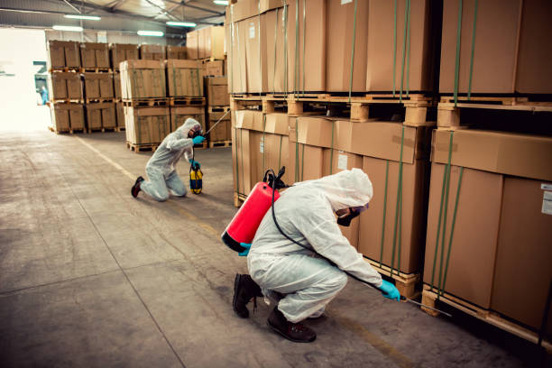 Best Residential Pest Control  in Slater Marietta, SC