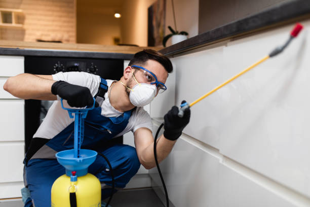 Best Pest Control Near Me in Slater Marietta, SC