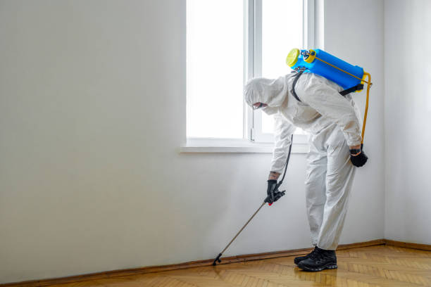 Best Insect Control  in Slater Marietta, SC