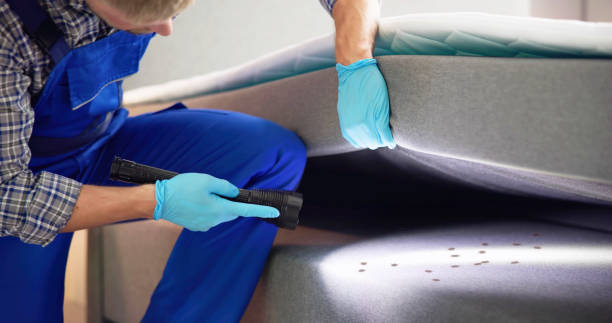 Best Pest Control for Homes  in Slater Marietta, SC