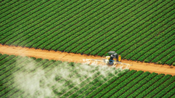 Best Pest Control Treatment  in Slater Marietta, SC