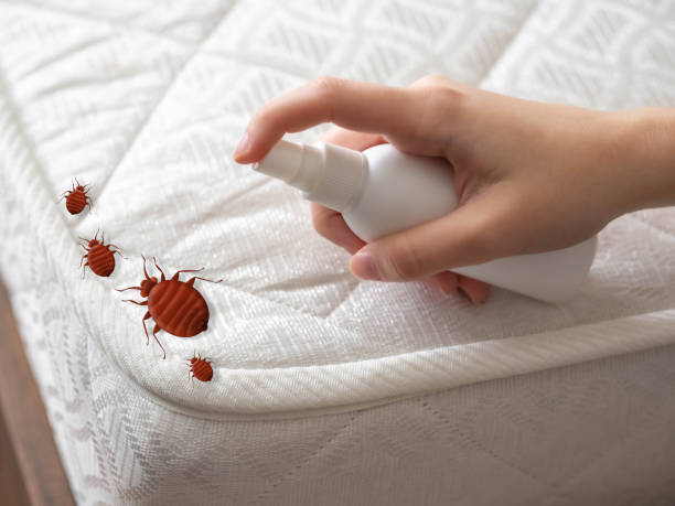 Best Pest Removal Services  in Slater Marietta, SC